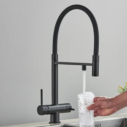 Matte black kitchen faucet with purifier and dual handles