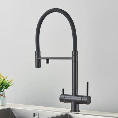 Matte black kitchen faucet with purifier and dual handles