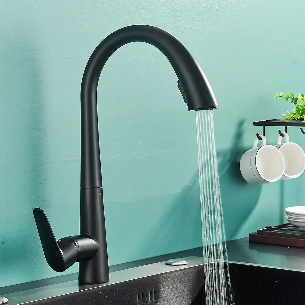 Matte black kitchen faucet with pull out sprayer and single lever