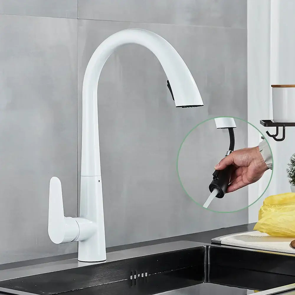 Matte black kitchen faucet with pull out sprayer and single lever