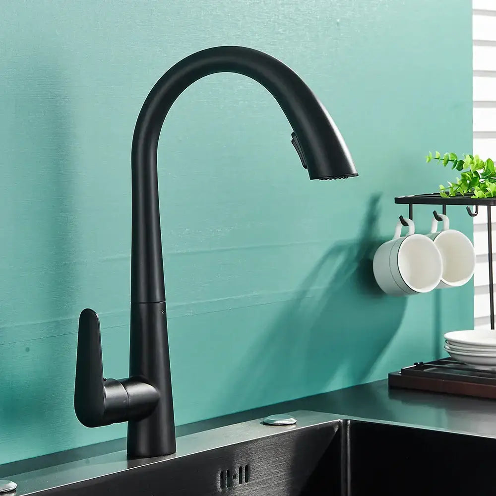 Matte black kitchen faucet with pull out sprayer and single lever