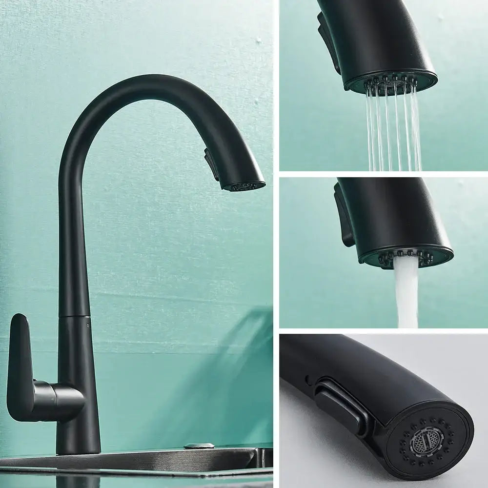 Matte black kitchen faucet with pull out sprayer and single lever