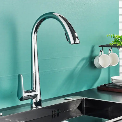Matte black kitchen faucet with pull out sprayer and single lever