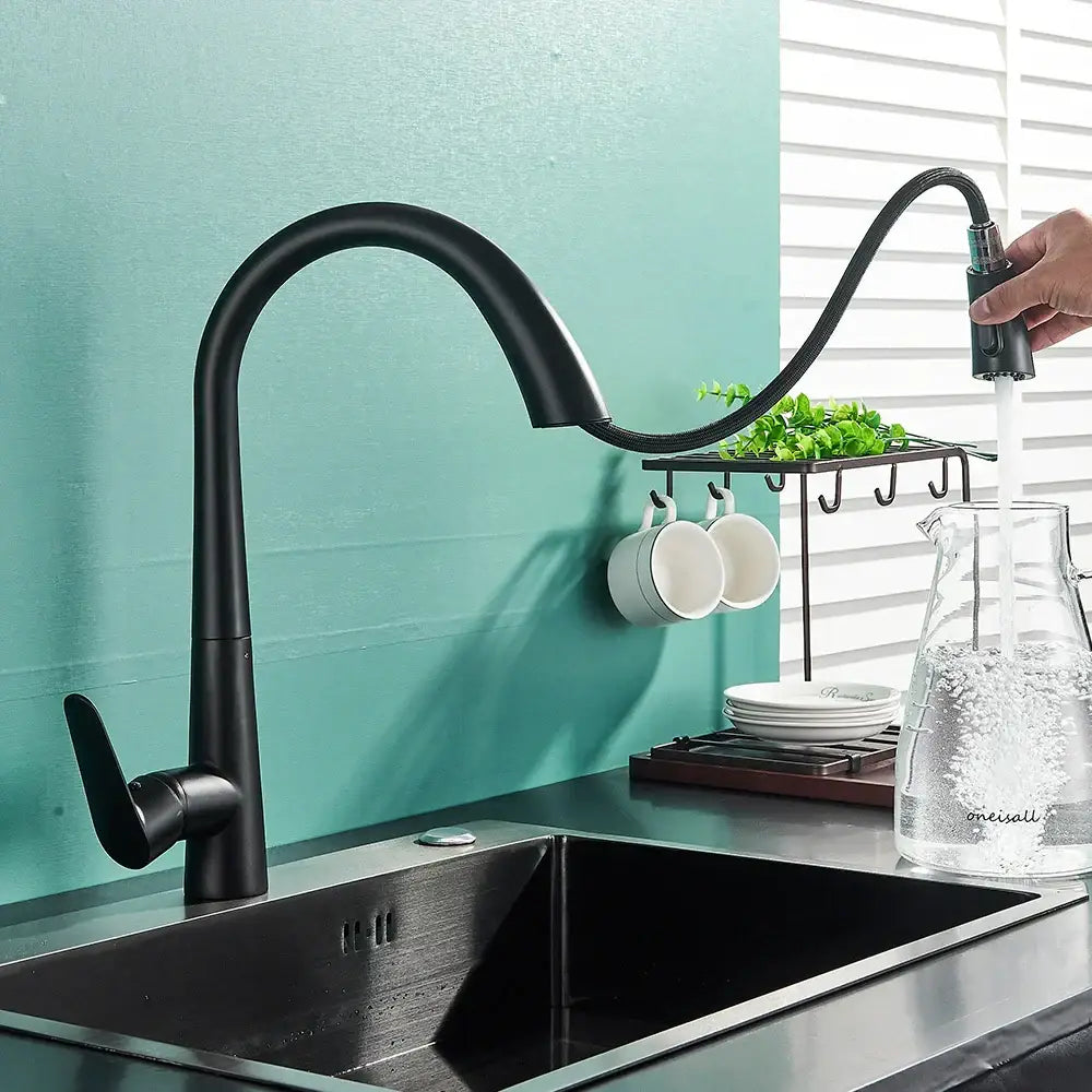 Matte black kitchen faucet with pull out sprayer and single lever