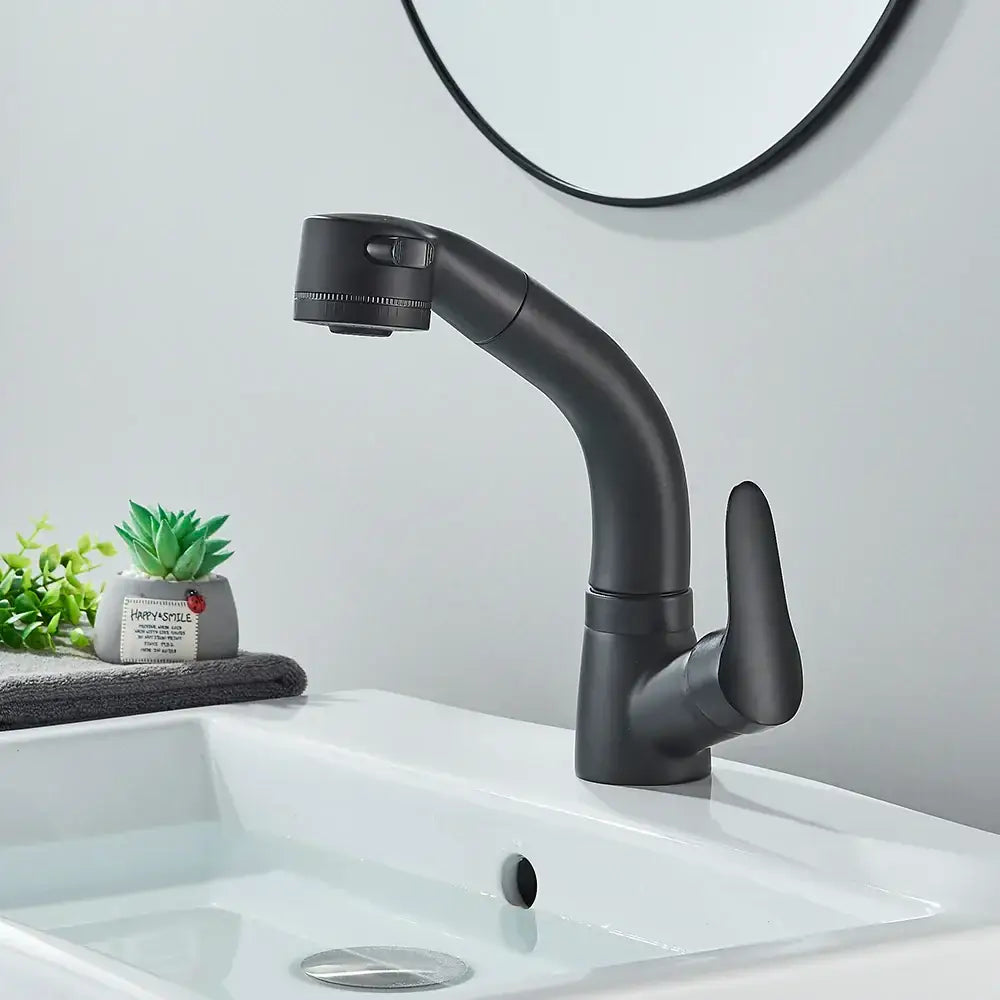 Matte black and chrome lift basin faucet with sprayer for kitchen