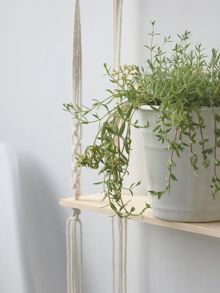 Minimalist white boho macrame wall shelf bedroom two tier wood decor