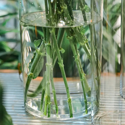Modern clear acrylic hurricane flower vase dining room centerpiece