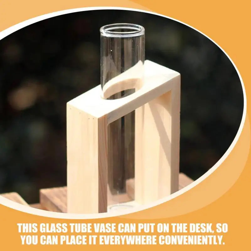 DecorBites™ Clear Glass Test Tube Vases for Plants