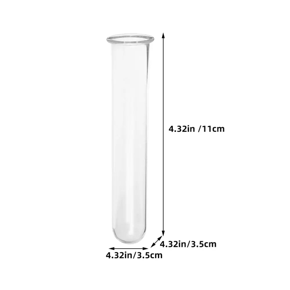 Minimalist wood and glass test tube vases living room plant decor