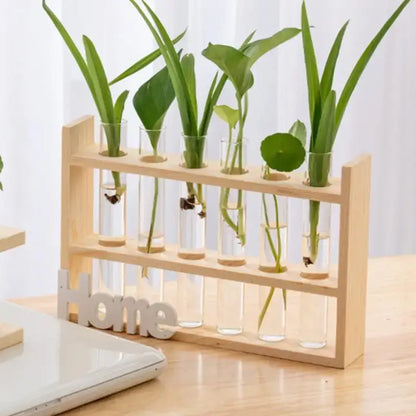 Minimalist wood and glass test tube vases living room plant decor