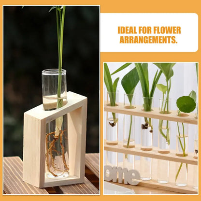 Minimalist wood and glass test tube vases living room plant decor