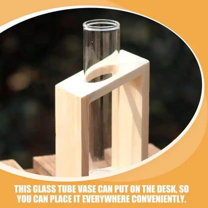 Minimalist wood and glass test tube vases living room plant decor