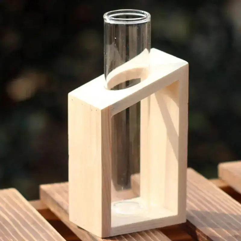 Minimalist wood and glass test tube vases living room plant decor