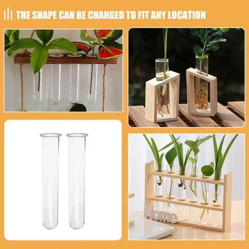 Minimalist wood and glass test tube vases living room plant decor