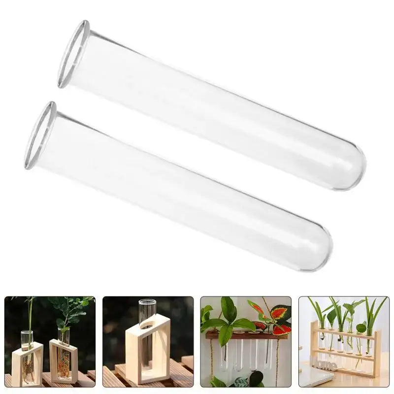 Minimalist wood and glass test tube vases living room plant decor