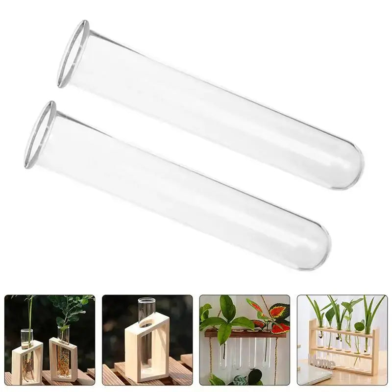 Minimalist wood and glass test tube vases living room plant decor