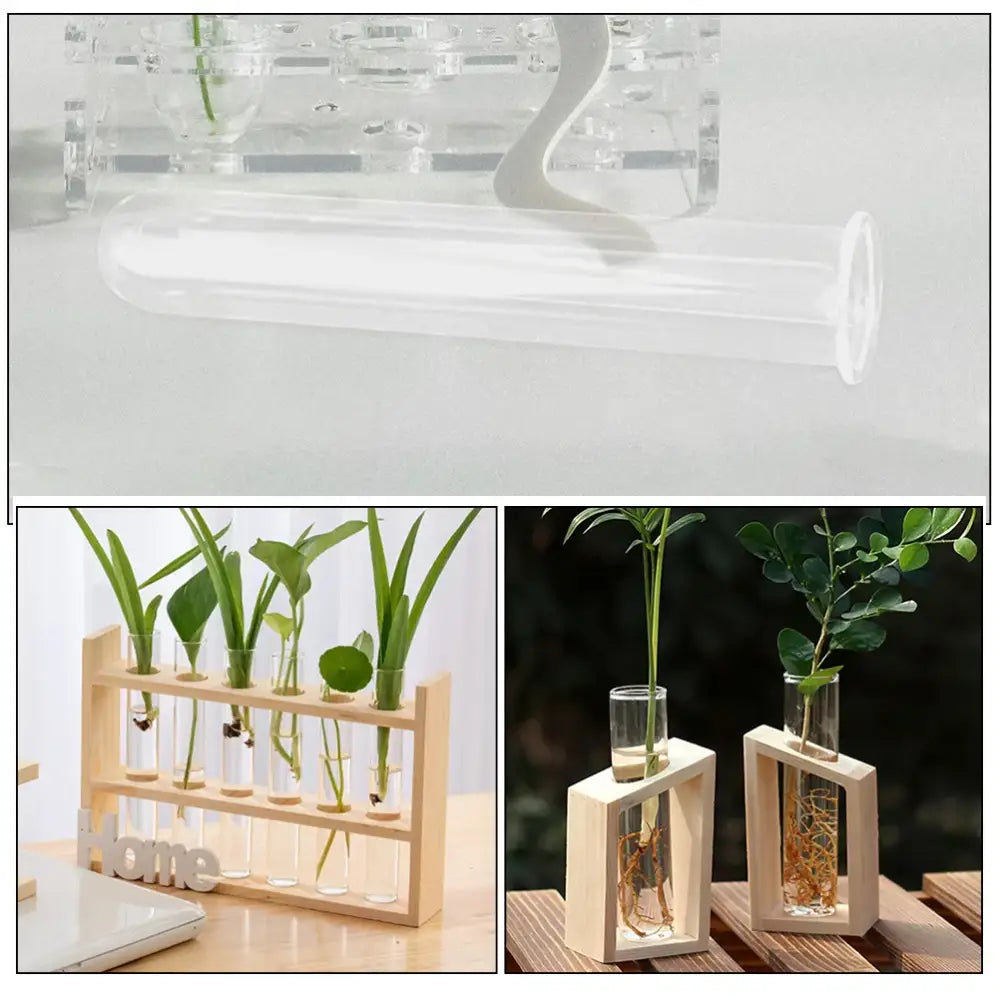 Minimalist wood and glass test tube vases living room plant decor
