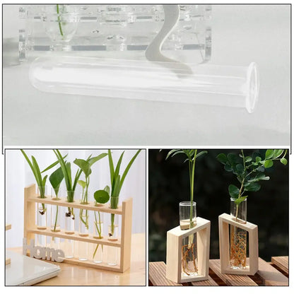 Minimalist wood and glass test tube vases living room plant decor