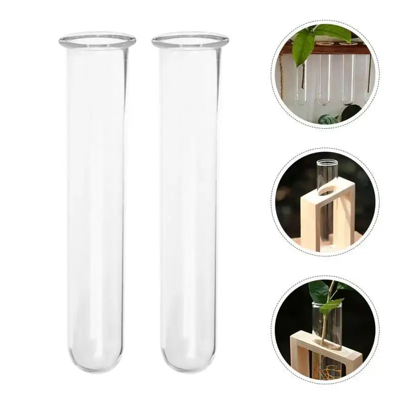 Minimalist wood and glass test tube vases living room plant decor