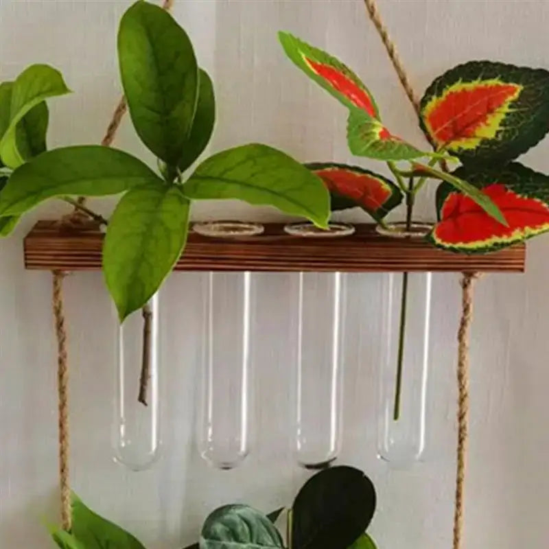 Minimalist wood and glass test tube vases living room plant decor