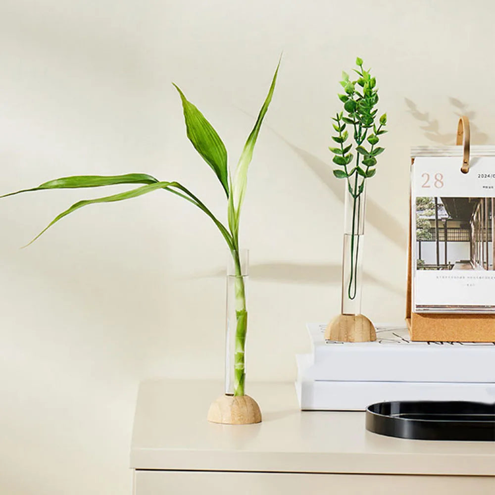 DecorBites™ Clear Nordic Plastic Vase for Hydroponic Flowers