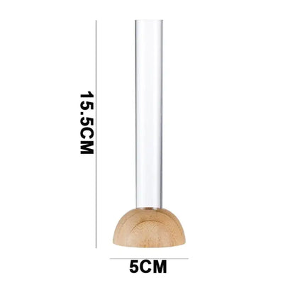 Minimalist clear glass hydroponic vase with bamboo base living room decor