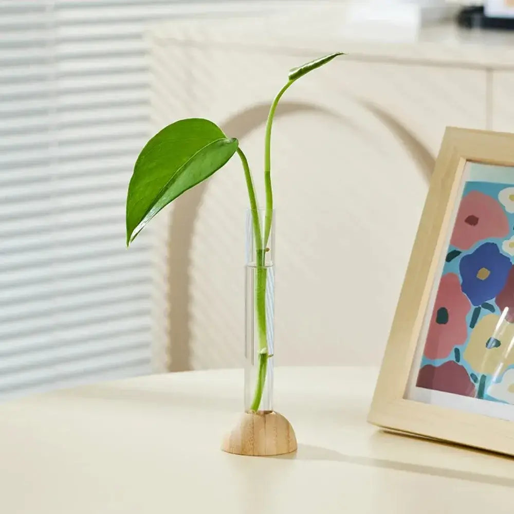 Minimalist clear glass hydroponic vase with bamboo base living room decor