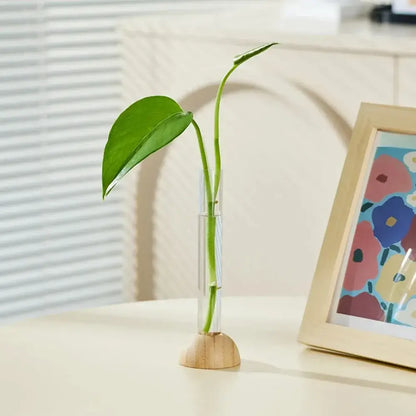 Minimalist clear glass hydroponic vase with bamboo base living room decor