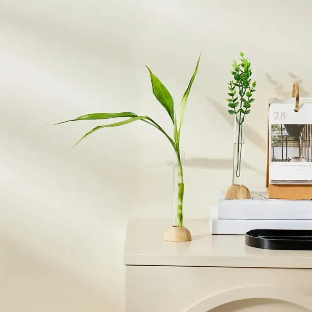 Minimalist clear glass hydroponic vase with bamboo base living room decor