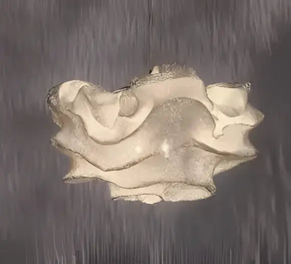 cloud chandelier sculptural cream pendant light bedroom