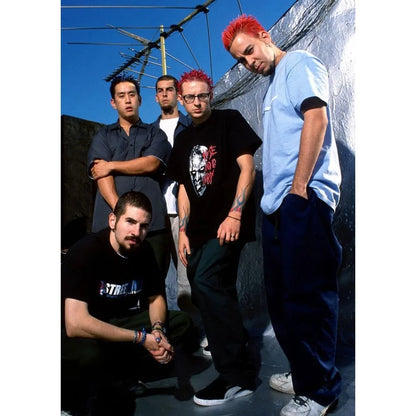 DecorBites™ Cool L-Linkin Band Park Poster Wall Art