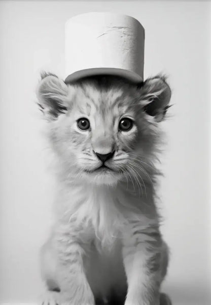 Cute animals canvas framed black & white bathroom wall art set