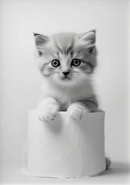 Cute animals canvas framed black & white bathroom wall art set