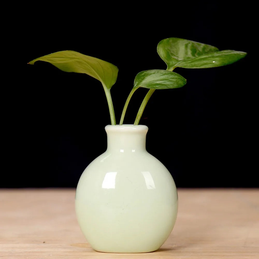 DecorBites™ Cute Mini Ceramic Flower Vase Pot