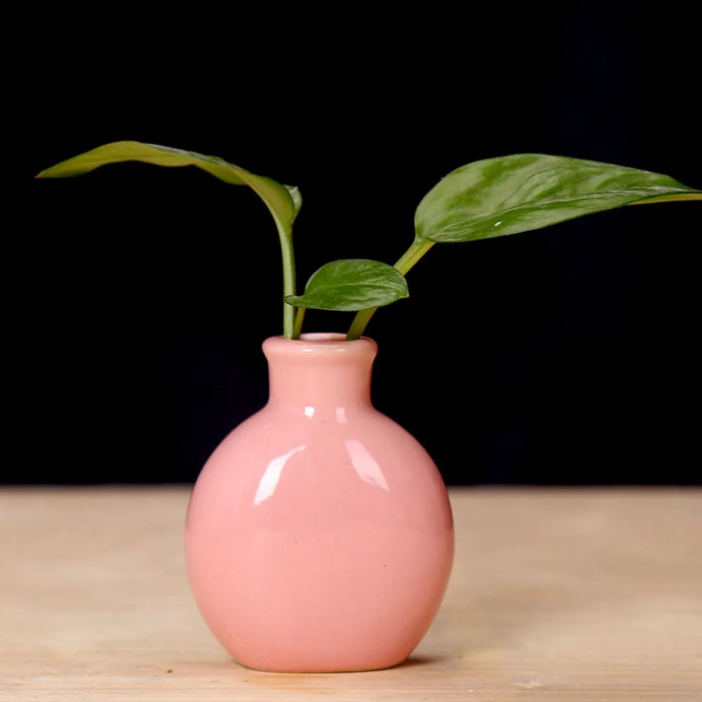 DecorBites™ Cute Mini Ceramic Flower Vase Pot