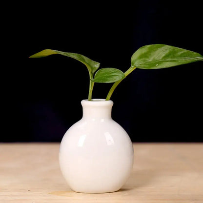 Pastel mini ceramic flower vase set for living room shelf decor