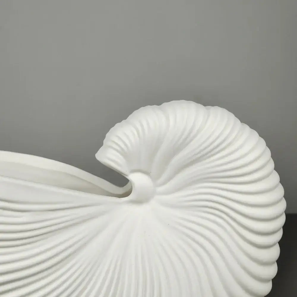 Elegant white ribbed ceramic shell conch vase living room decor