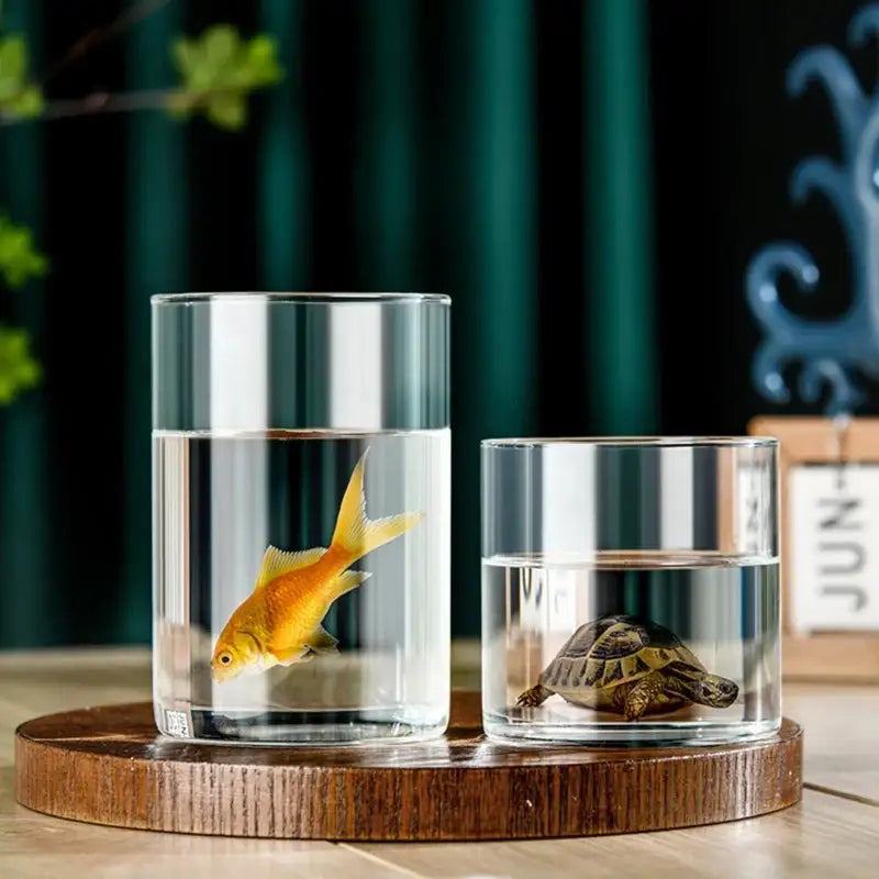 Modern clear glass cylinder vase set living room floral decor