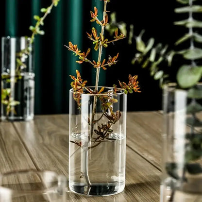 Modern clear glass cylinder vase set living room floral decor
