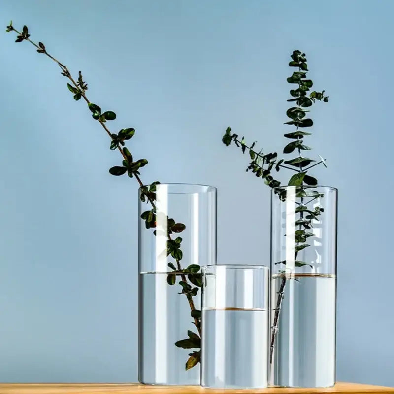 Modern clear glass cylinder vase set living room floral decor