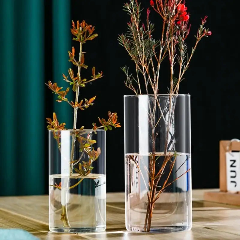 Modern clear glass cylinder vase set living room floral decor