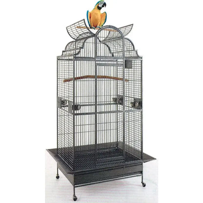 Elegant black wrought iron dome play bird parrot cage living room