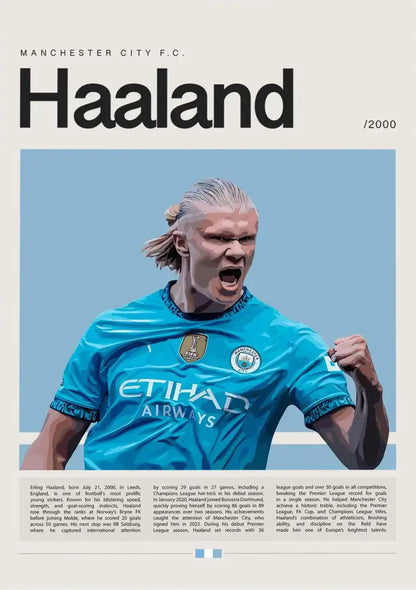 Blue manchester city football star champion wall art bedroom canvas