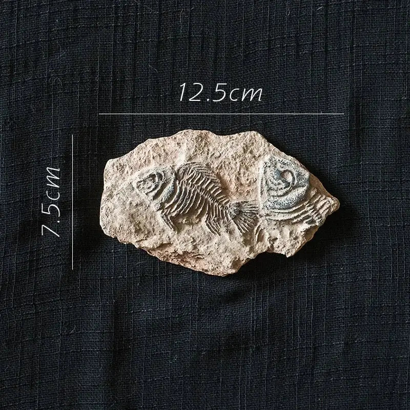 fossil series art refrigerator stickers kitchen decor