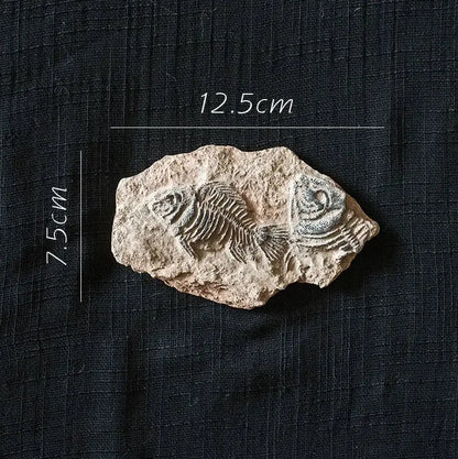 fossil series art refrigerator stickers kitchen decor