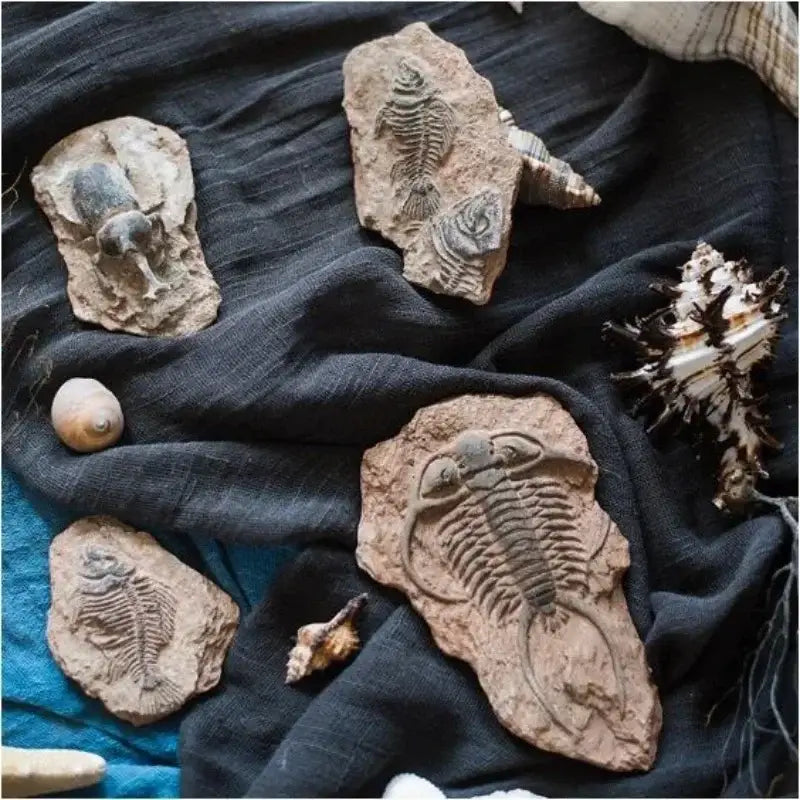 fossil series art refrigerator stickers kitchen decor