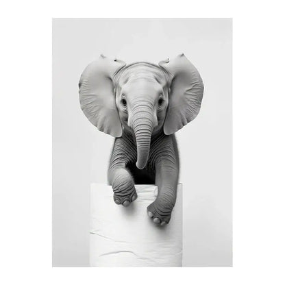 Black and white funny animals wall art – bathroom framed prints