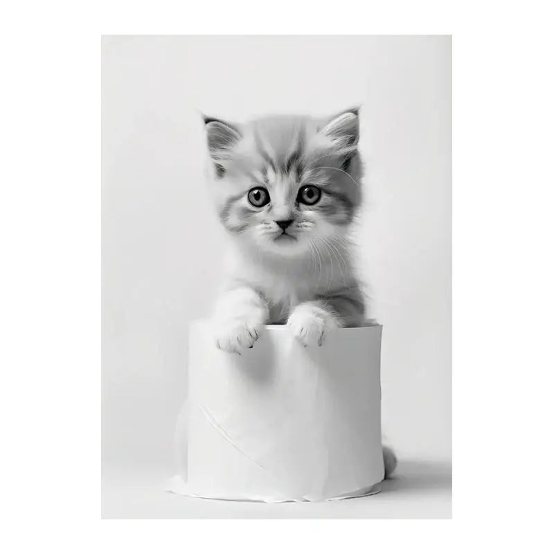 Black and white funny animals wall art – bathroom framed prints