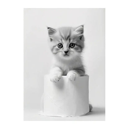 Black and white funny animals wall art – bathroom framed prints