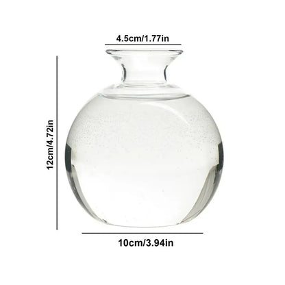 Clear glass avocado seed starter vase kitchen root grower